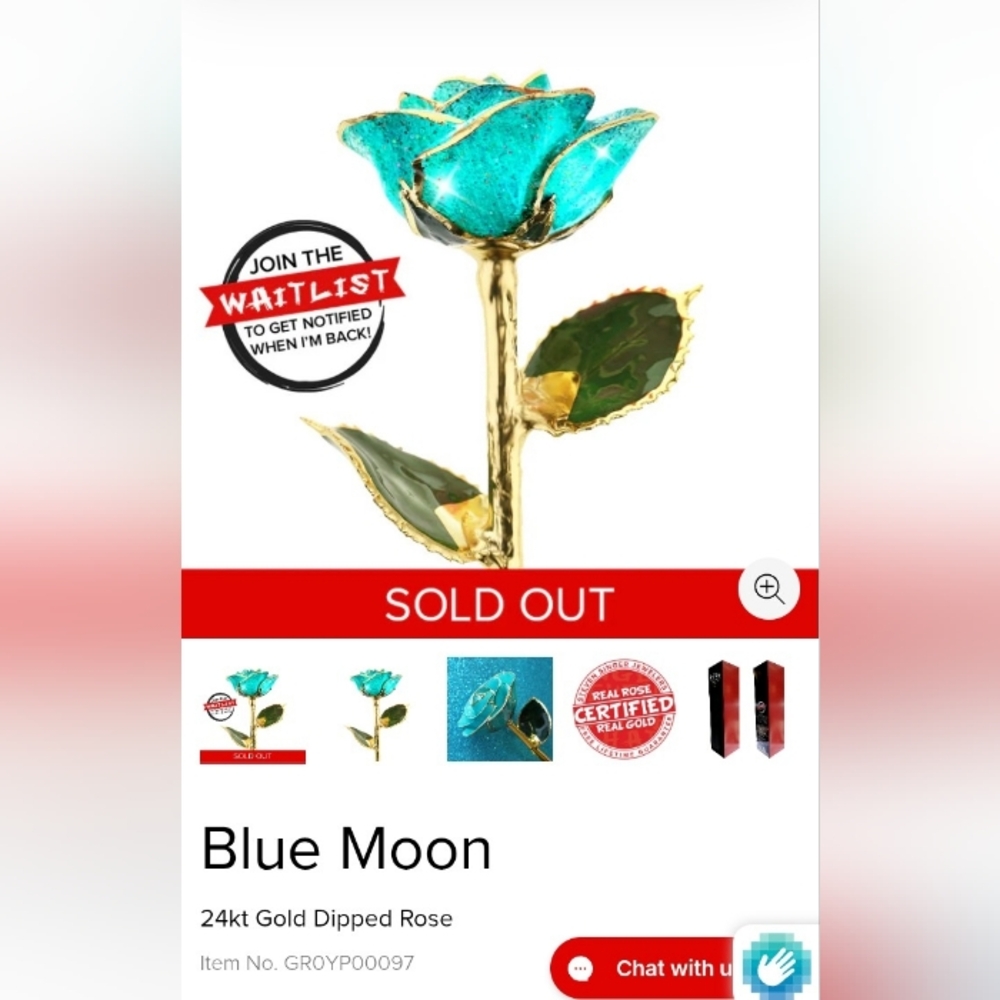 BNIB SOLD OUT WAIT LISTED I Hate Steven Singer 24k Gold Dipped Blue Moon Rose